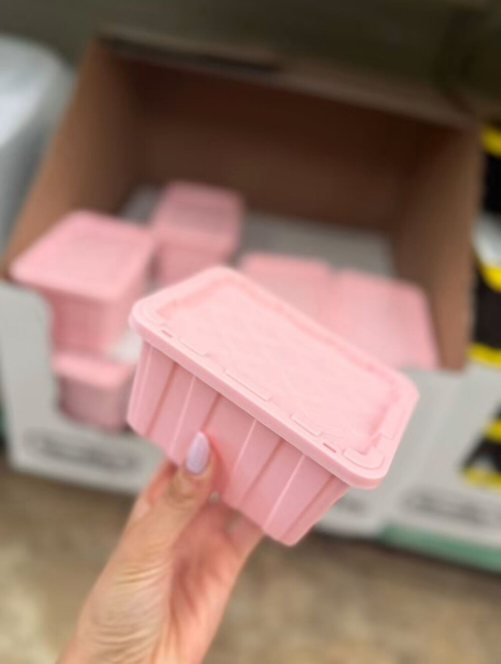 Mini Plastic Pink Storage Bin With A Lid